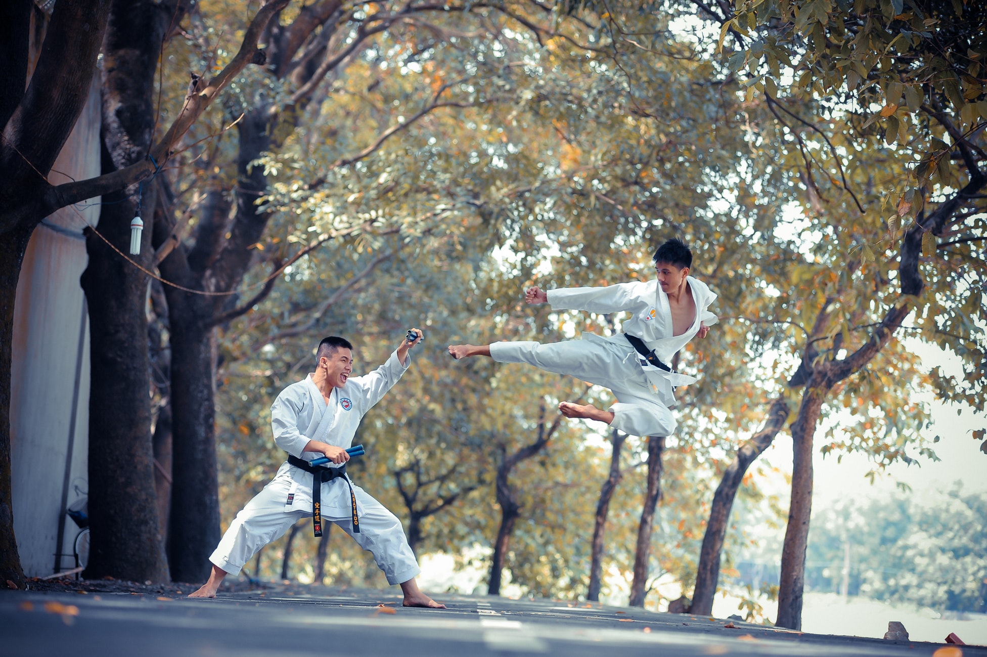 karate-people-side-kicking