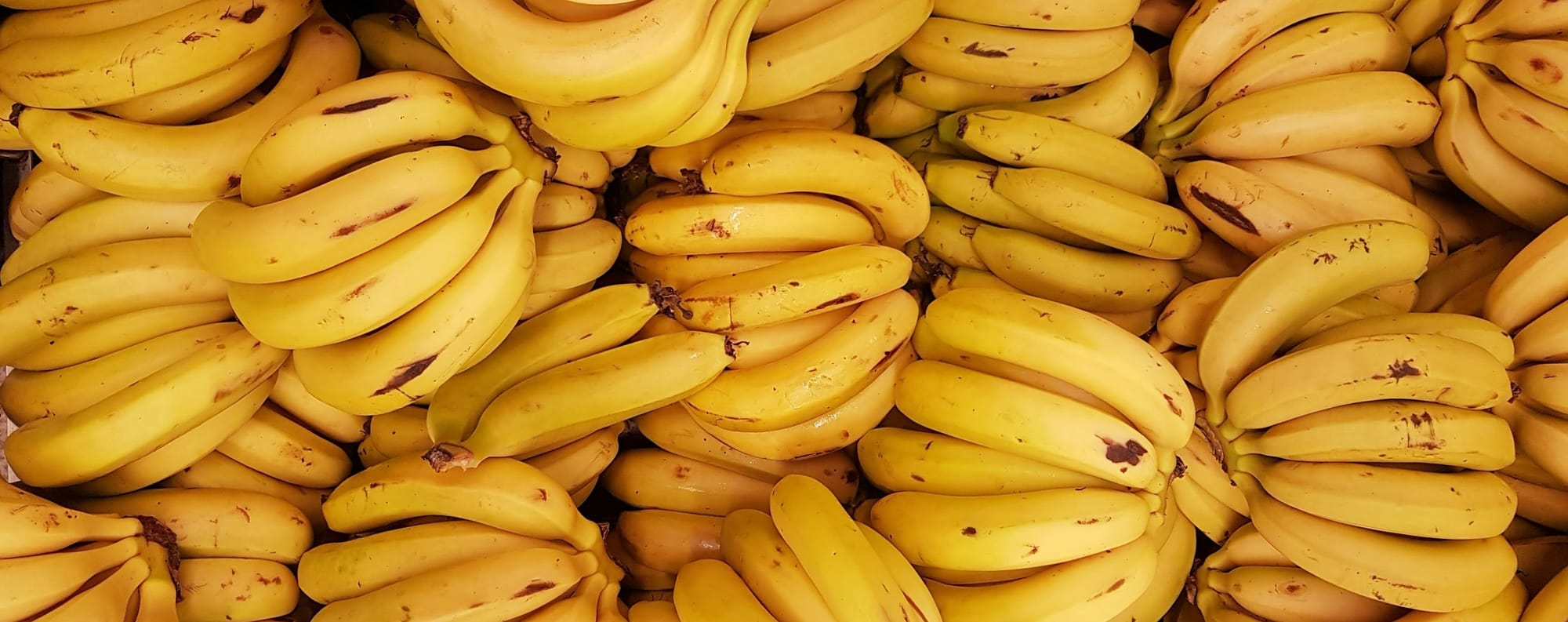 🍌The Banana Rule 🍌